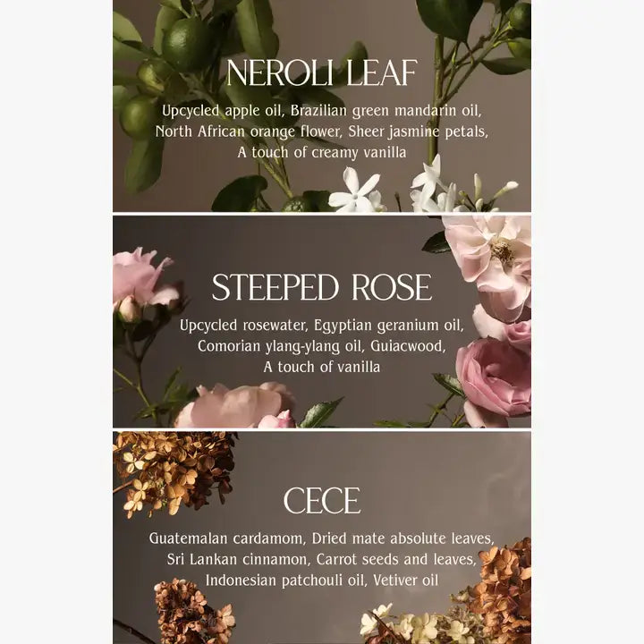 Laundry Fragrance Oil | Half Case: Cece / 1 oz