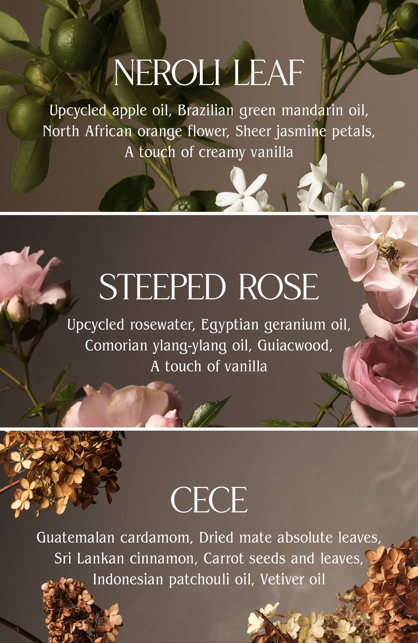 Laundry Fragrance Oil: Cece / 1 oz