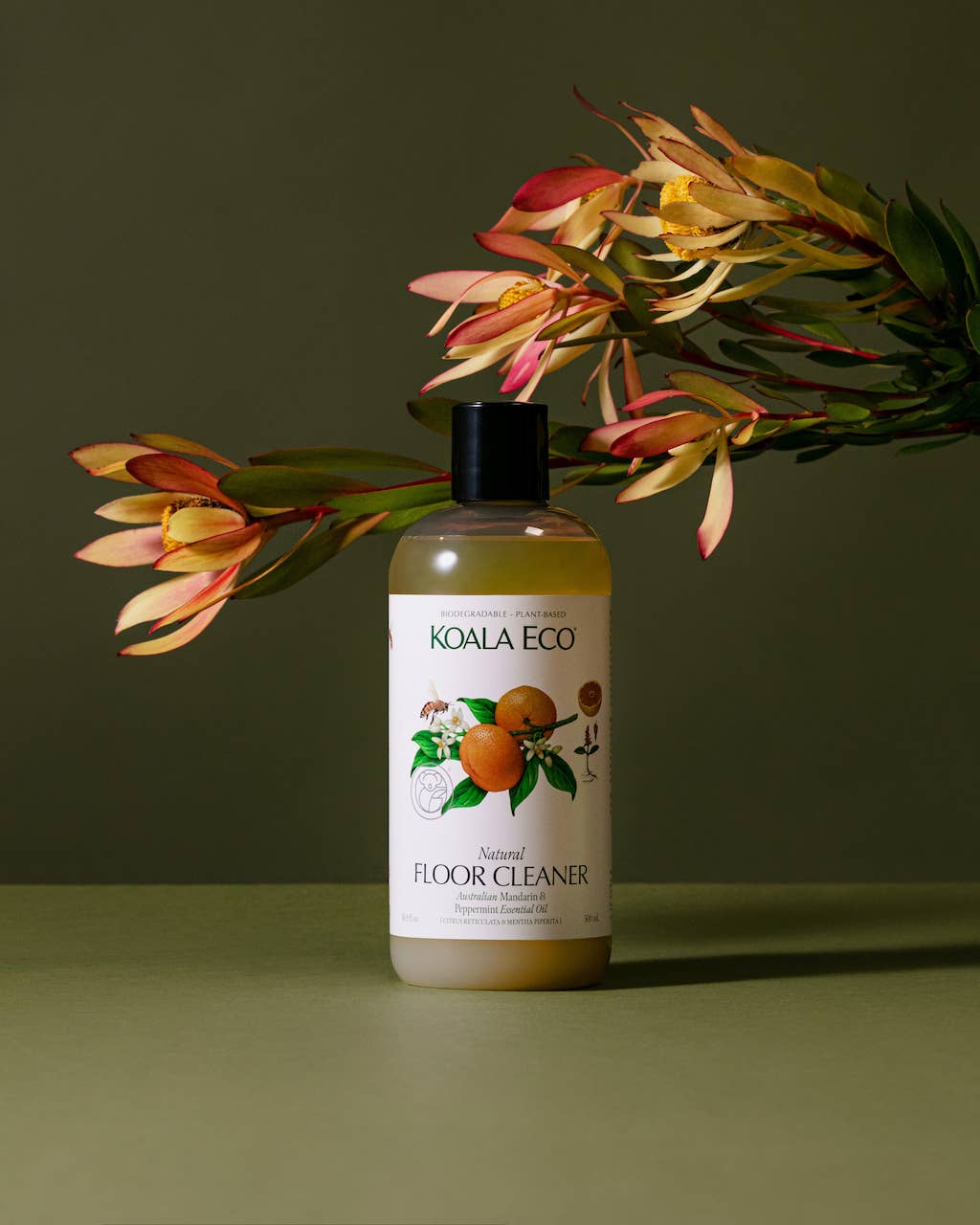 Koala Natural Floor Cleaner Mandarin & Peppermint, 16 oz