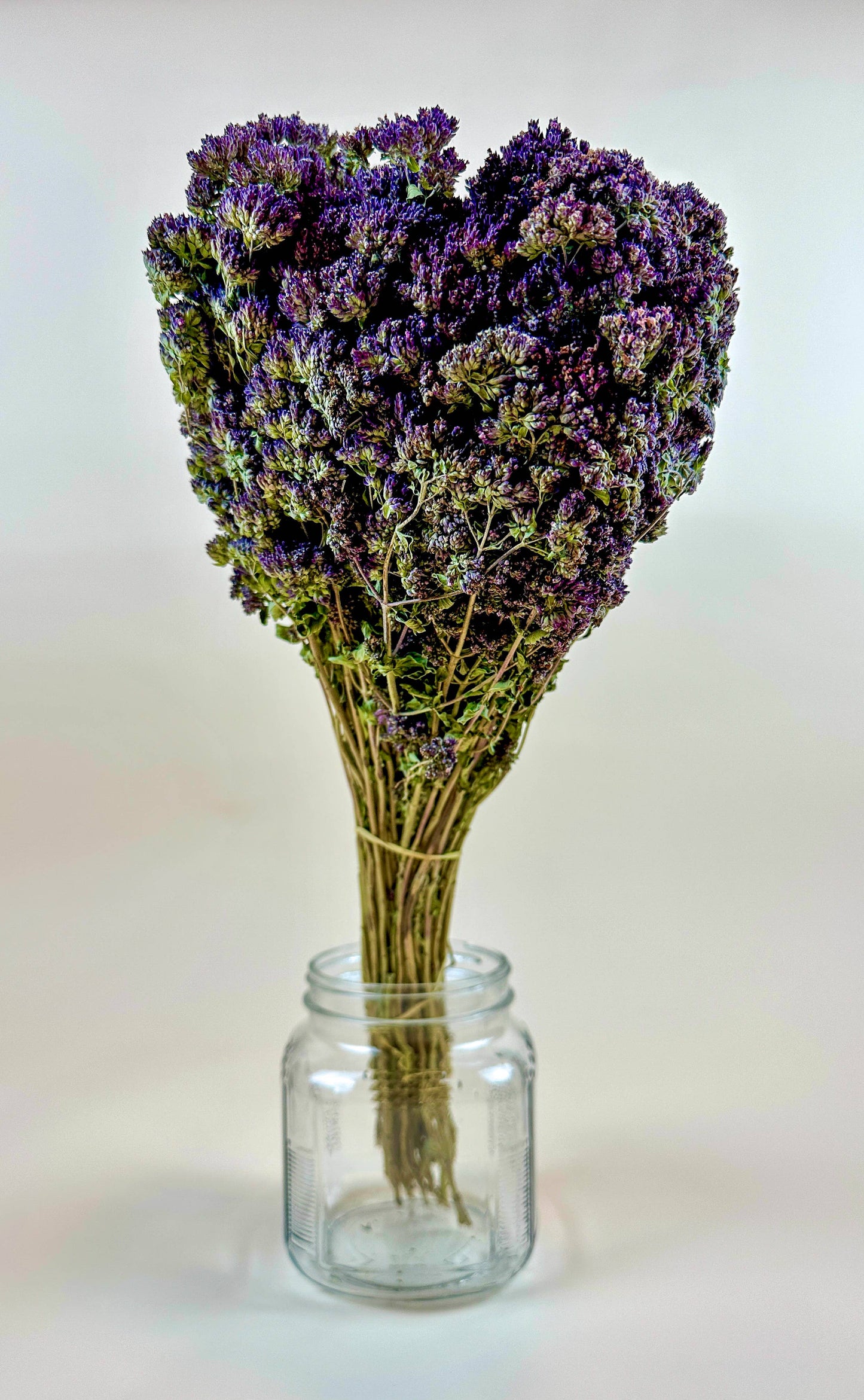 Purple Blossom Greek Oregano – Naturally Dried