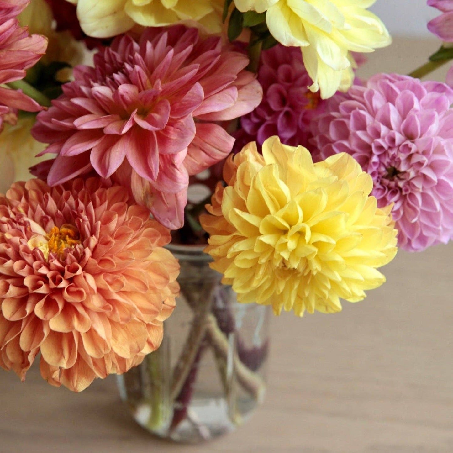 Copper Flower Frog Set