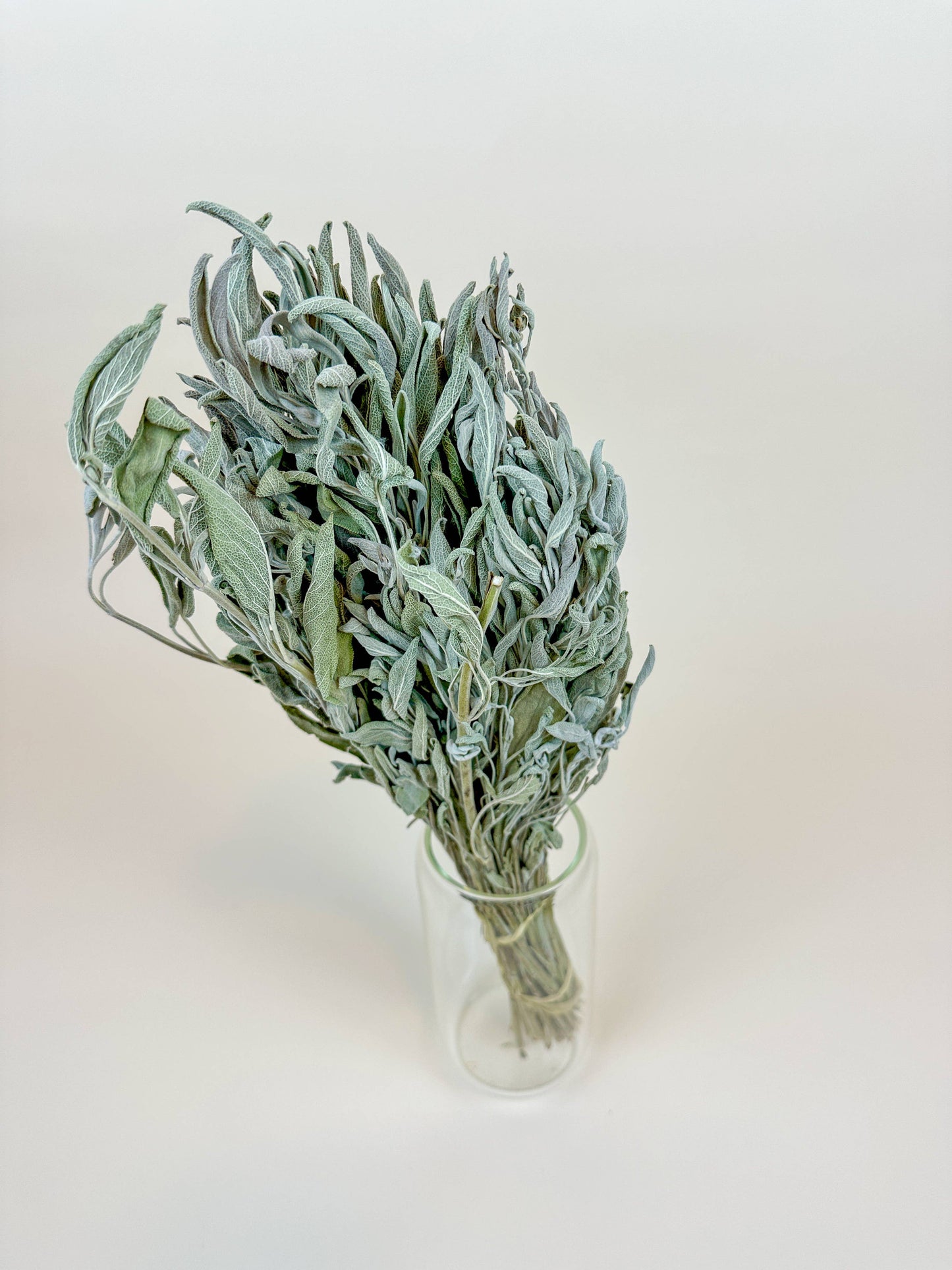 Sage – Naturally Dried Filler