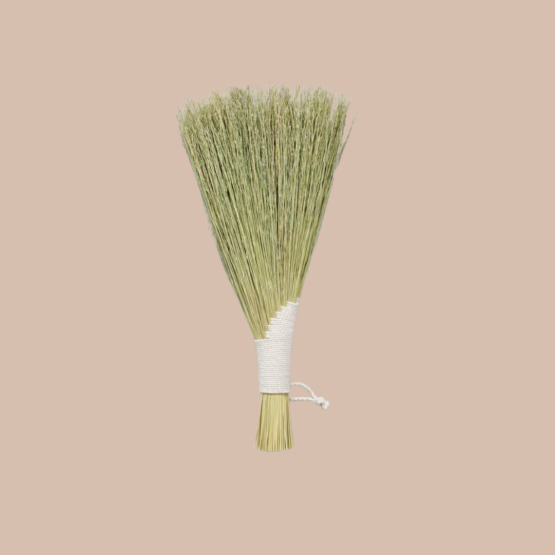 Wing Hand Broom