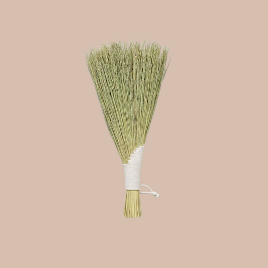 Wing Hand Broom