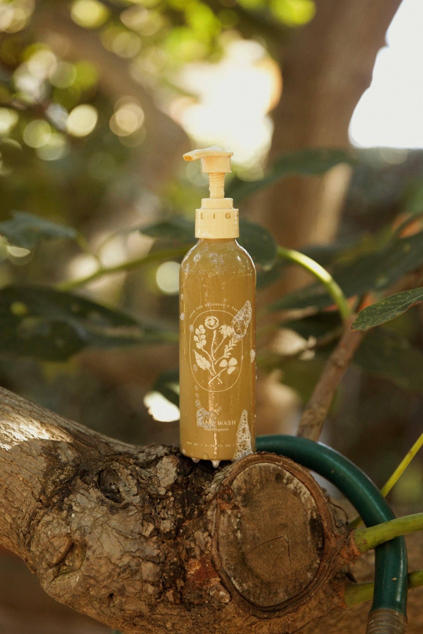 Wild Bergamot Tallow Hand Wash