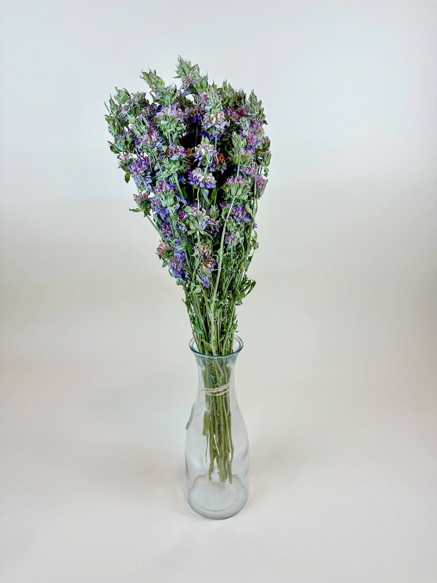 Lemon Mint – Dried Floral w/ Purple-Pink Blooms & Mild Mint