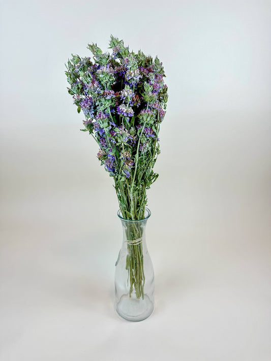 Lemon Mint – Dried Floral w/ Purple-Pink Blooms & Mild Mint