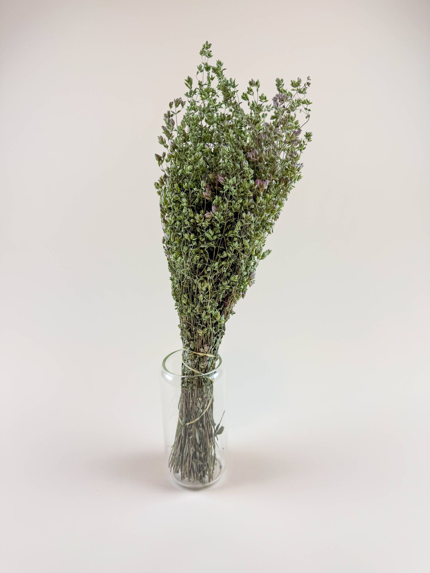 Santa Cruz Oregano – Green, Naturally Dried Floral Herb