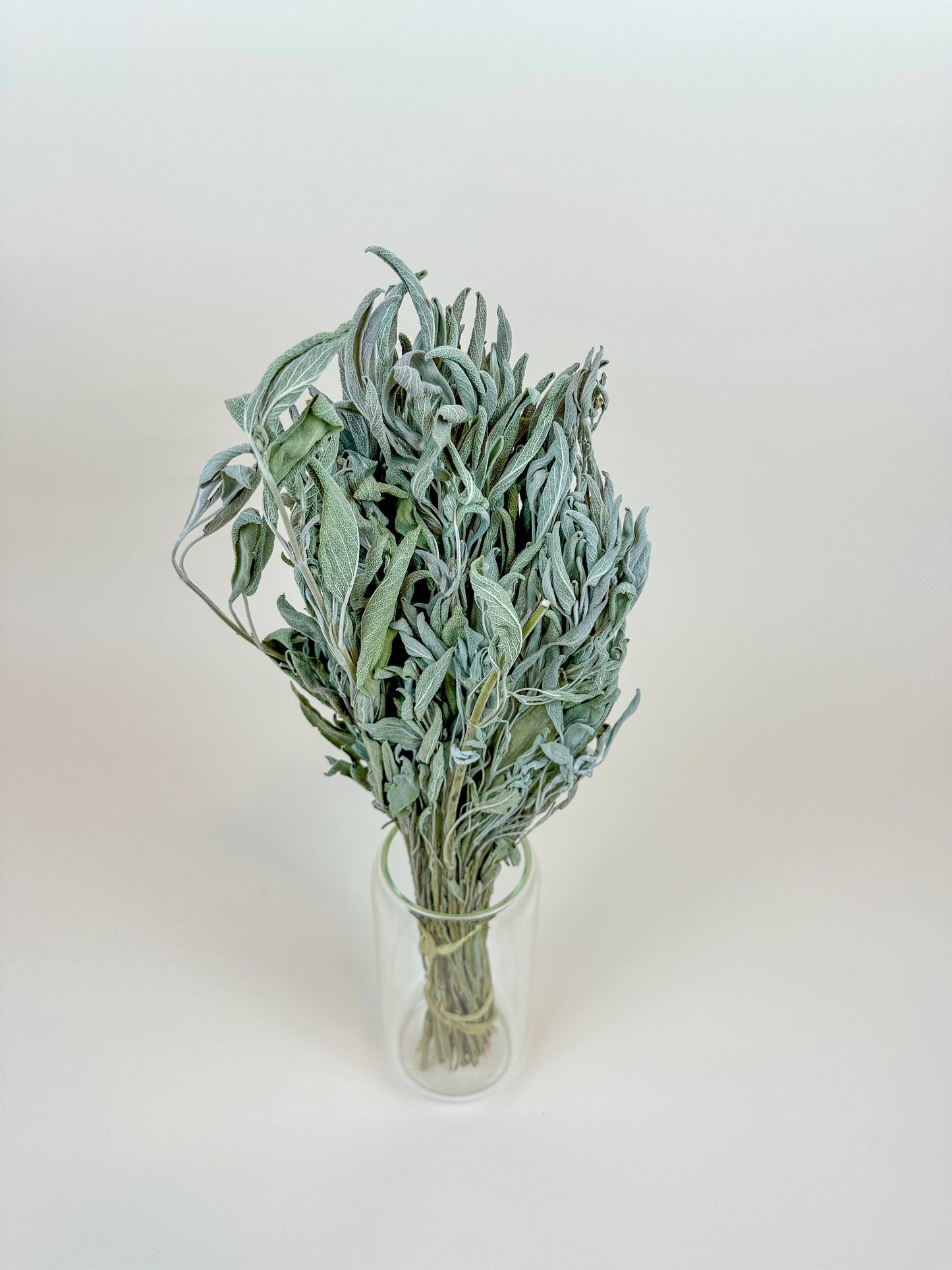 Sage – Naturally Dried Filler