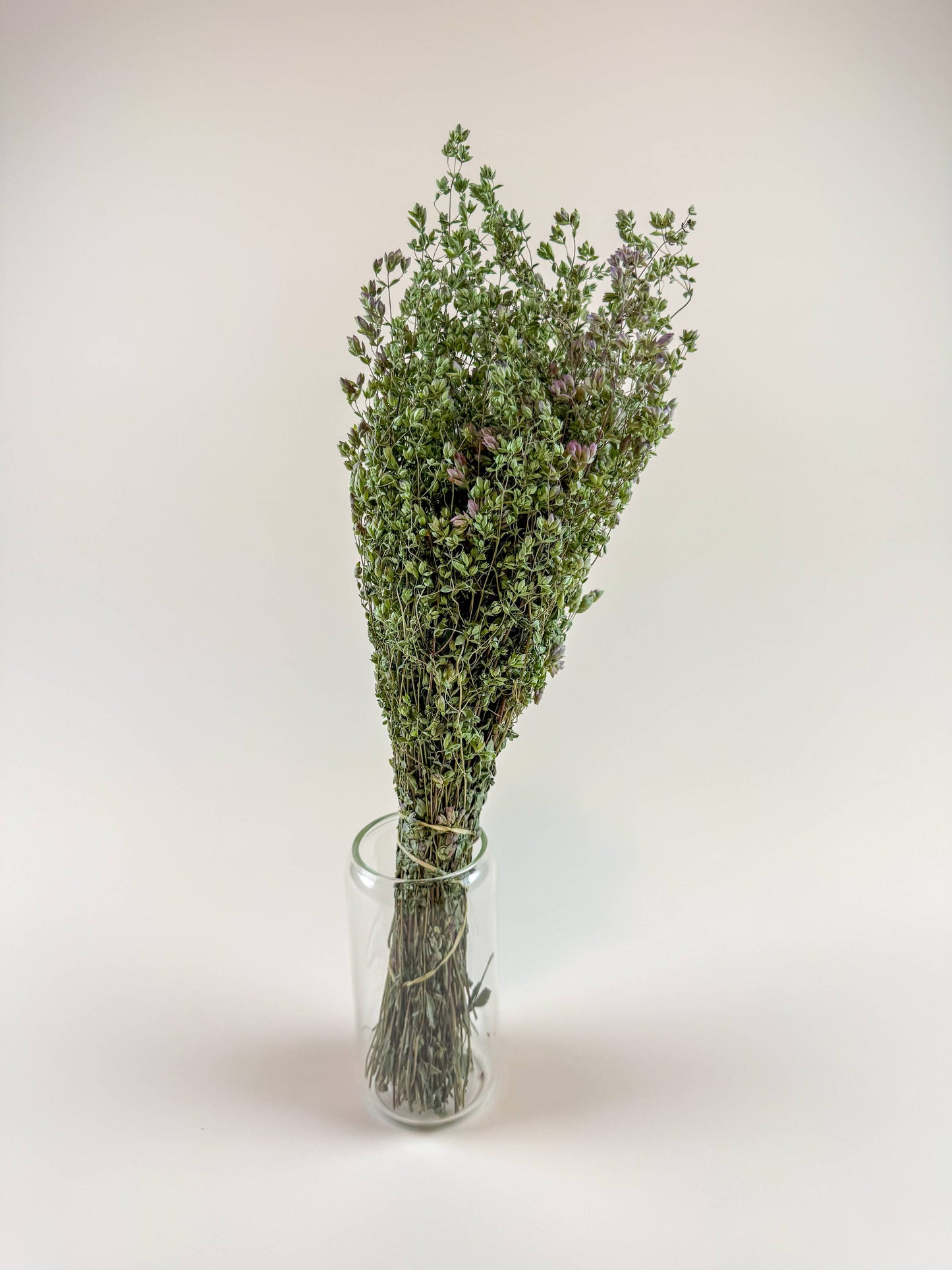 Santa Cruz Oregano – Green, Naturally Dried Floral Herb