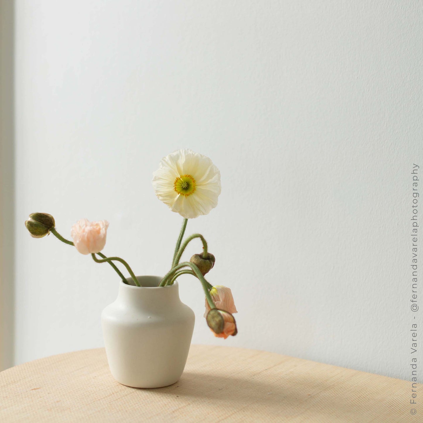 Ikebana Vase: Small