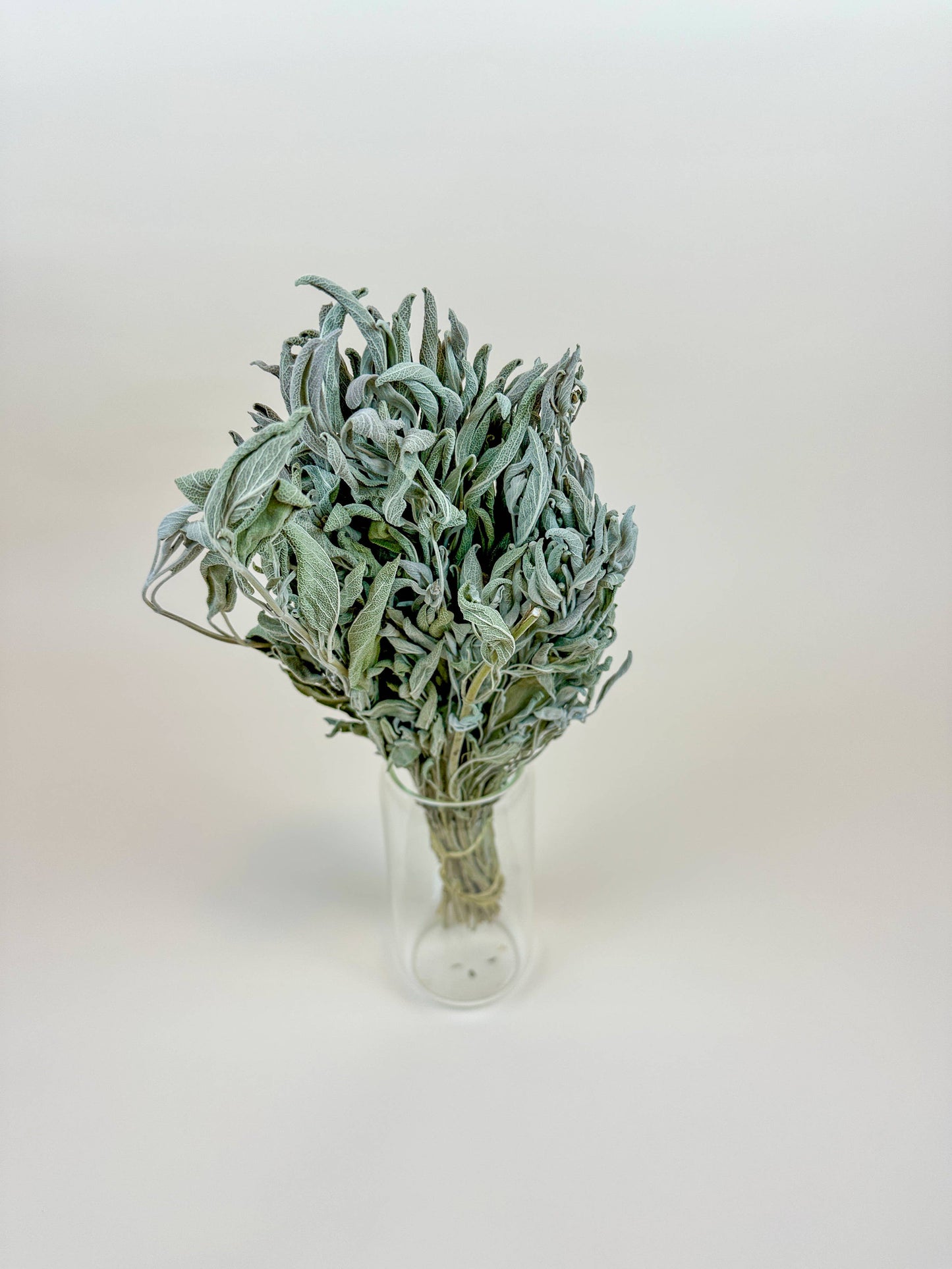 Sage – Naturally Dried Filler