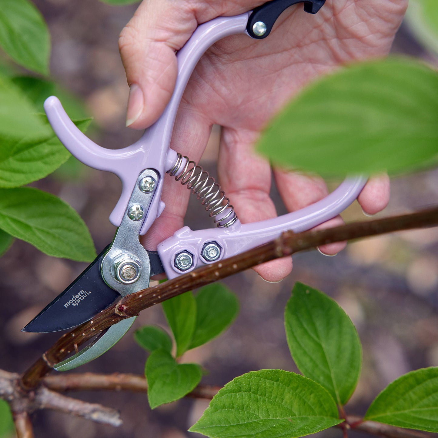 New Colors! Garden Pruners: Lavender
