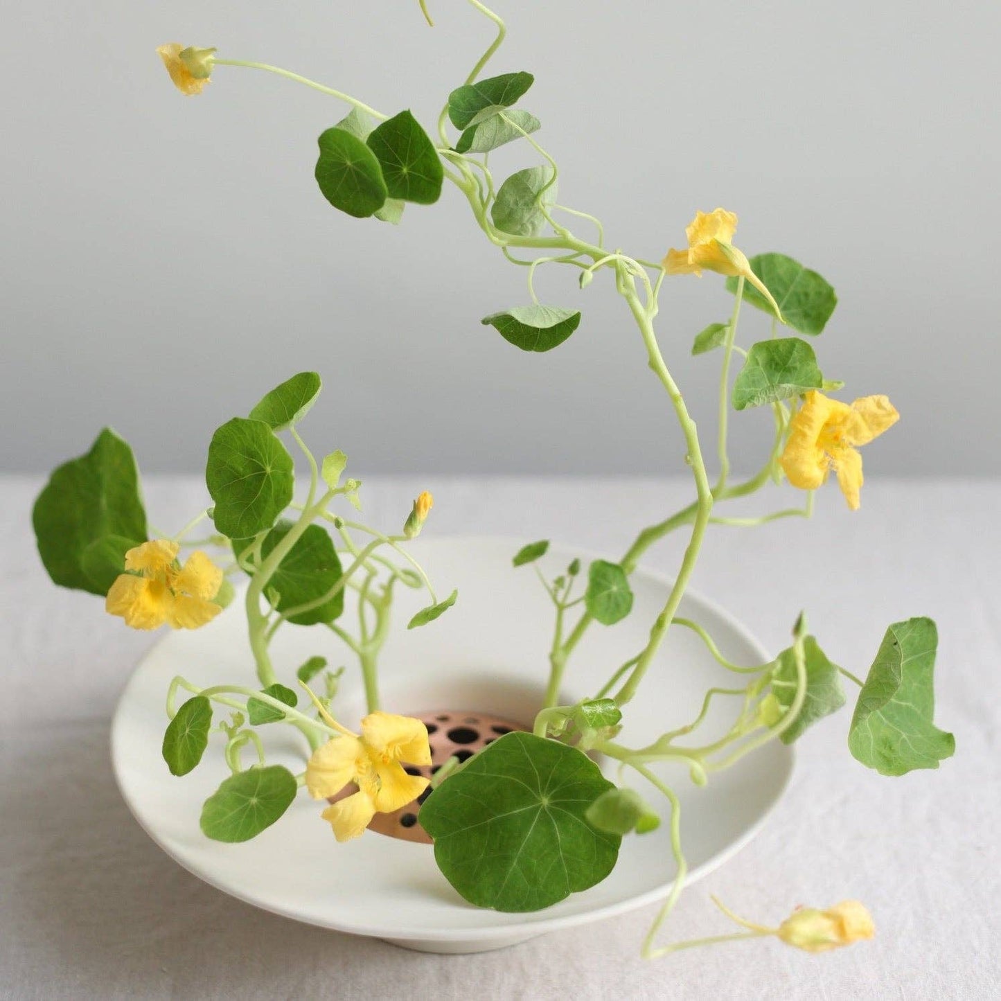 Copper Flower Frog Set