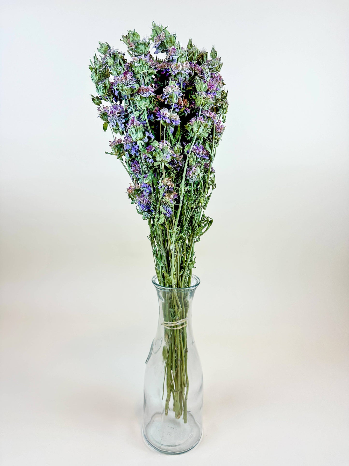 Lemon Mint – Dried Floral w/ Purple-Pink Blooms & Mild Mint