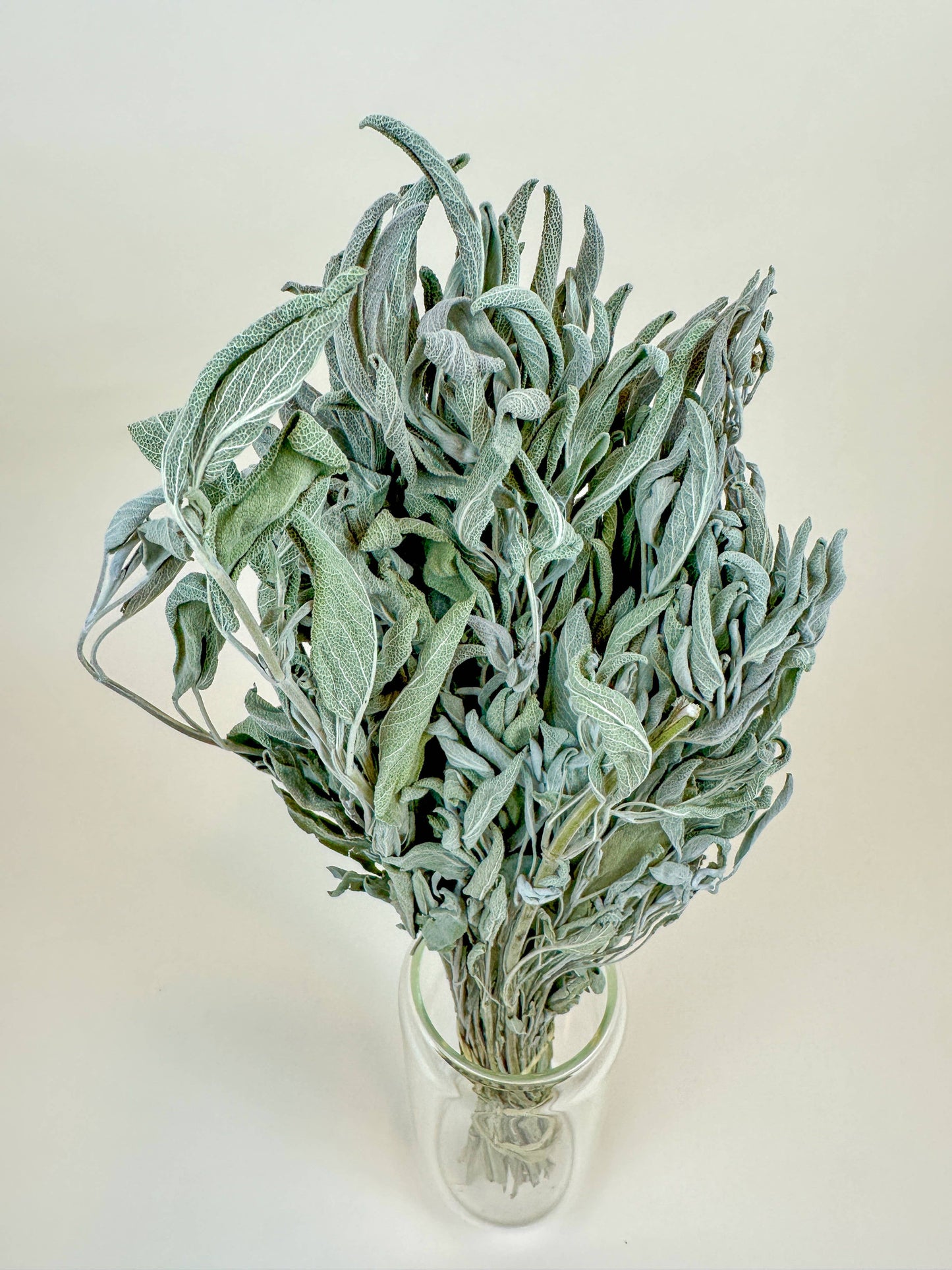 Sage – Naturally Dried Filler