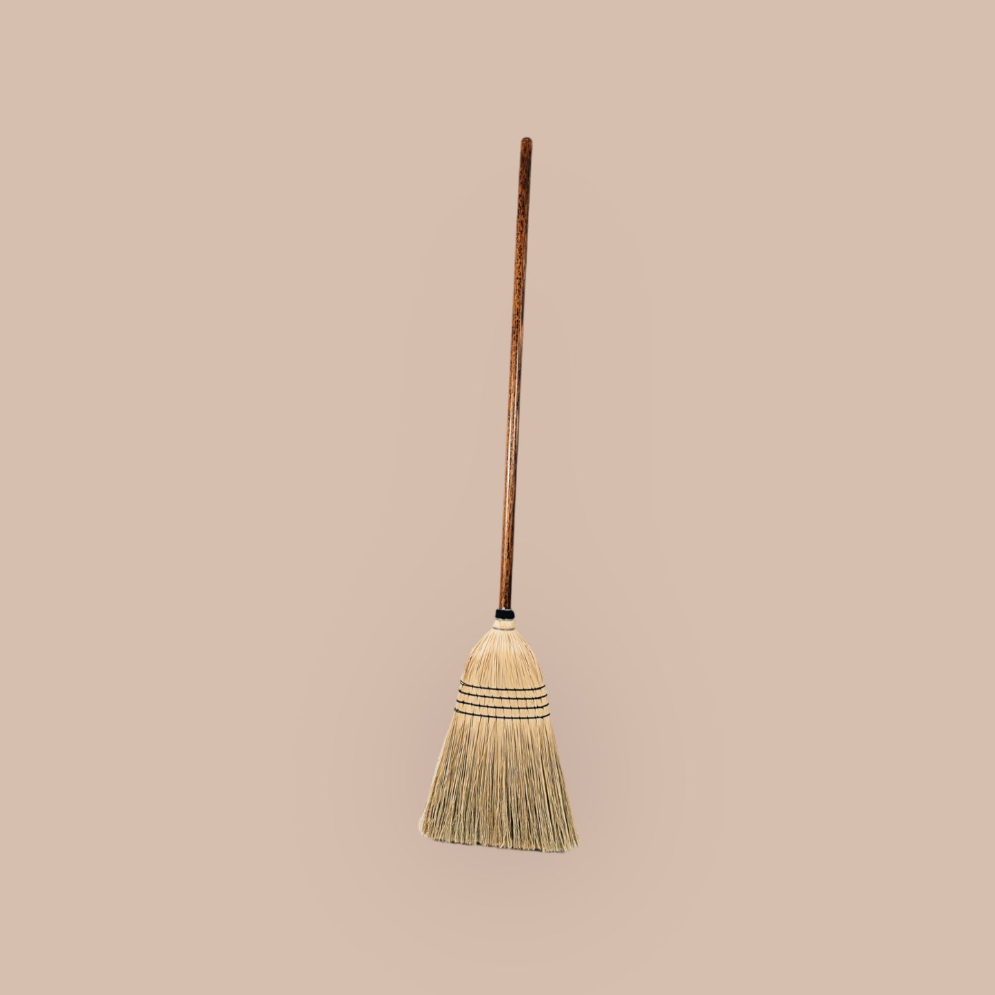 The Everyday Broom