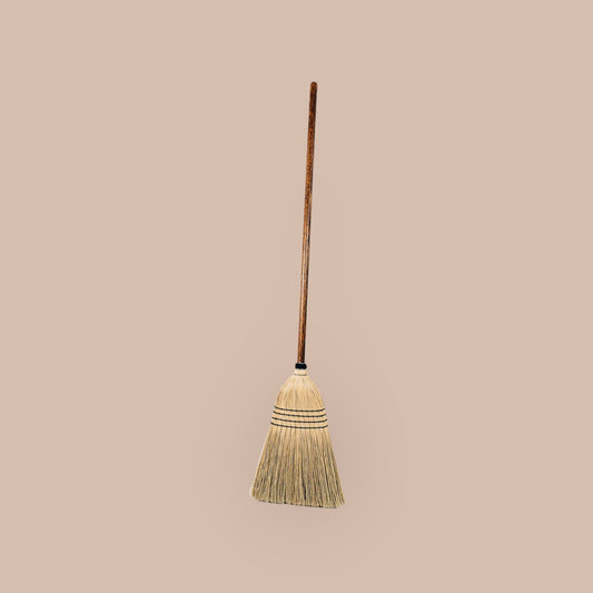 The Everyday Broom