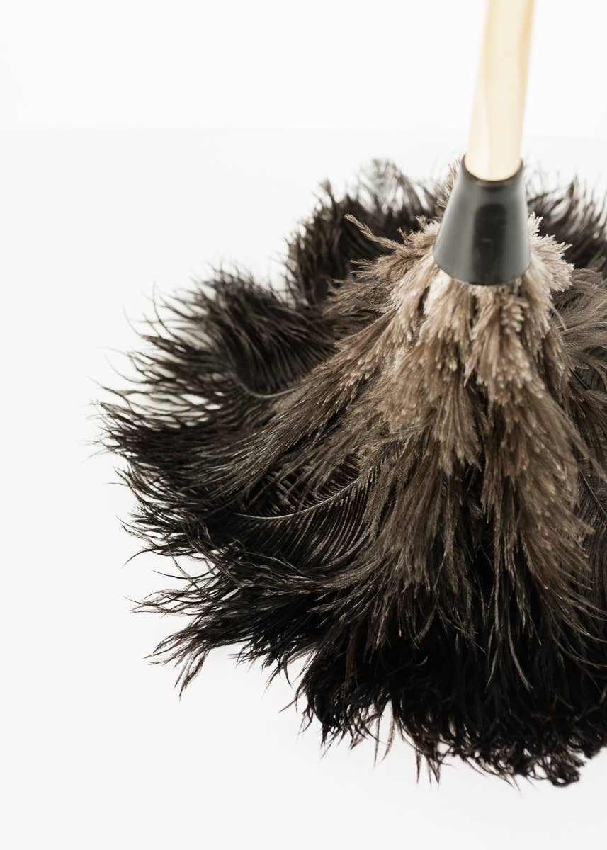 The Feather Duster: 28 inch