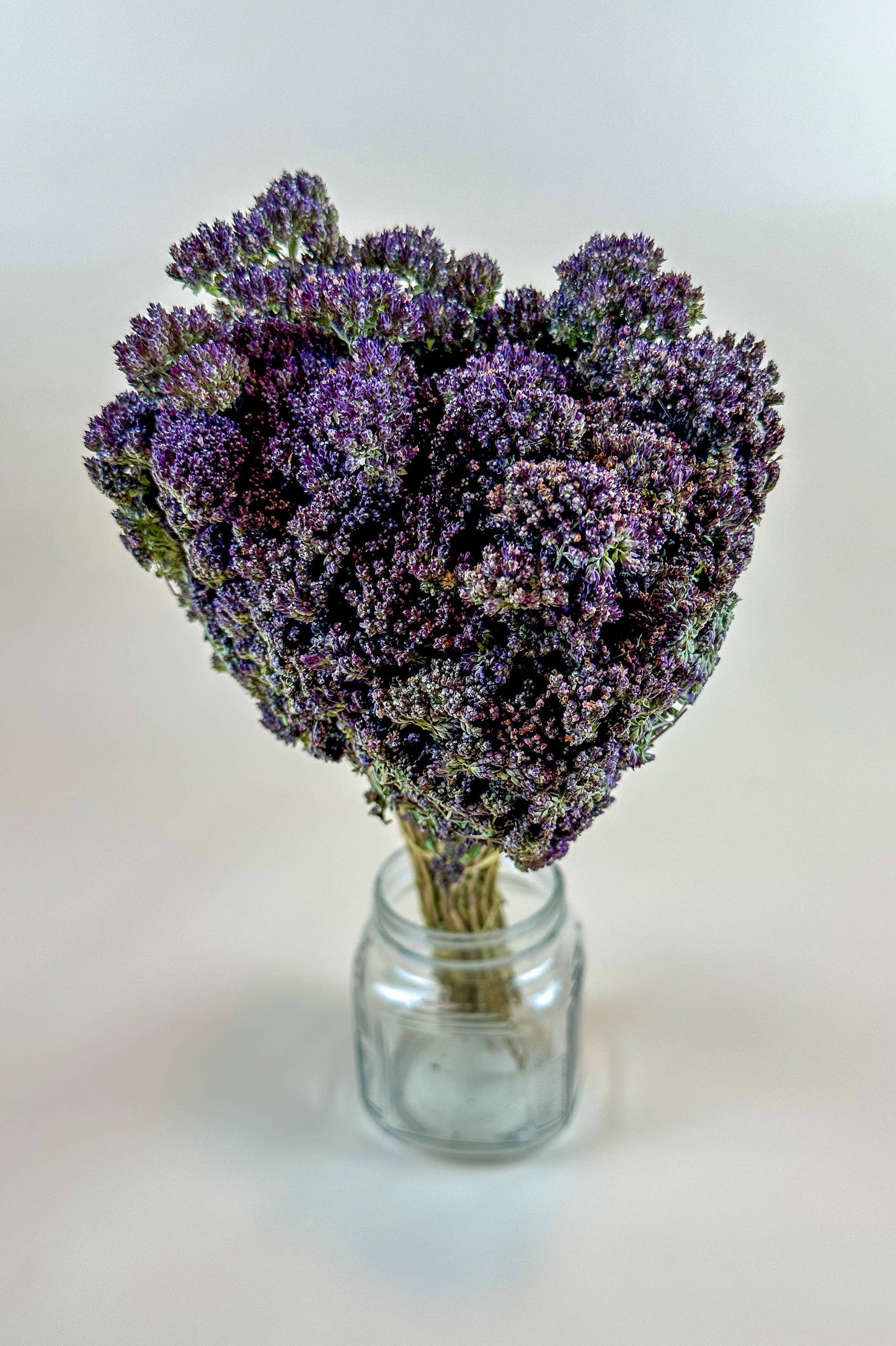 Purple Blossom Greek Oregano – Naturally Dried