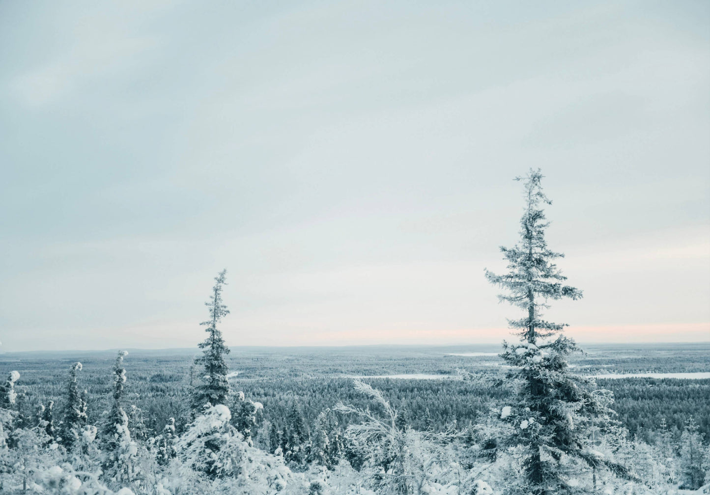 I Made This For You – Christmas Gift and Decorations ...