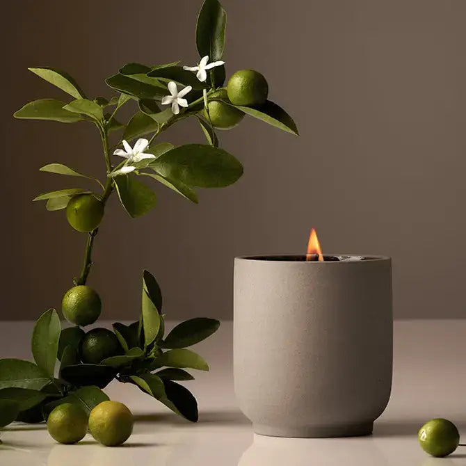 Signature Candle | Cece
