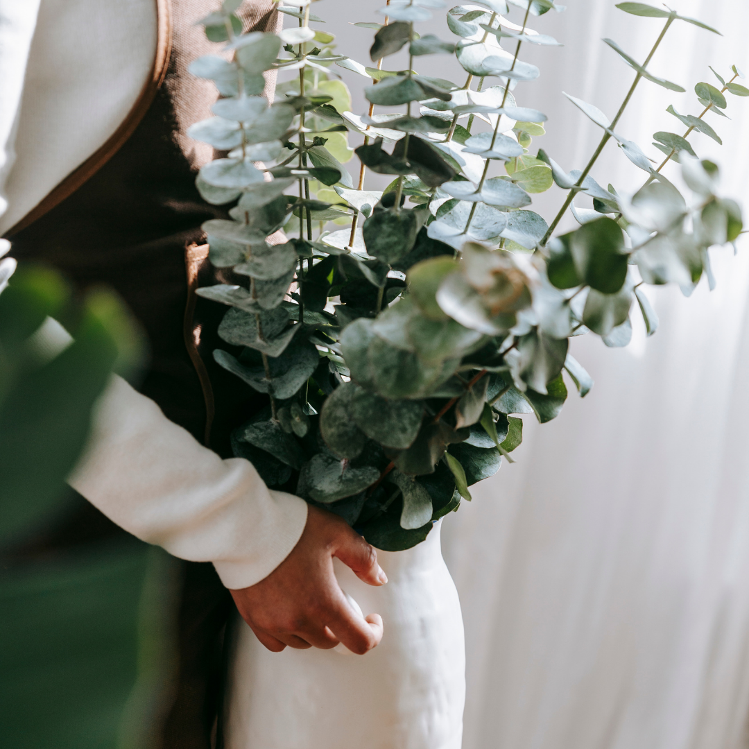 Preserved Eucalyptus Bundle