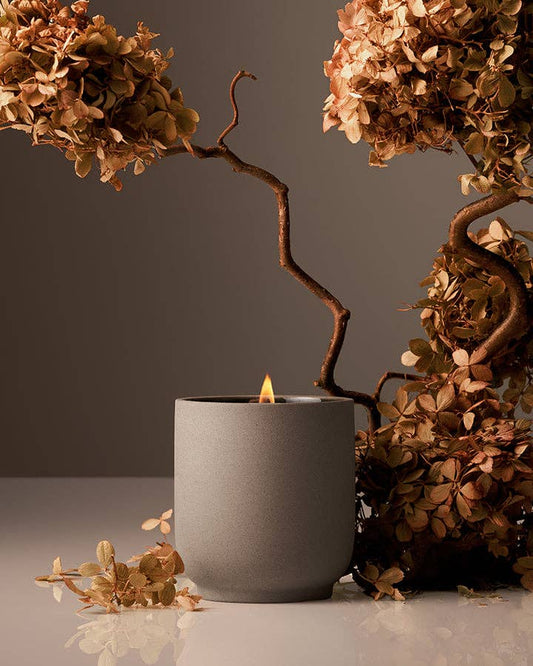 Signature Candle : Cece